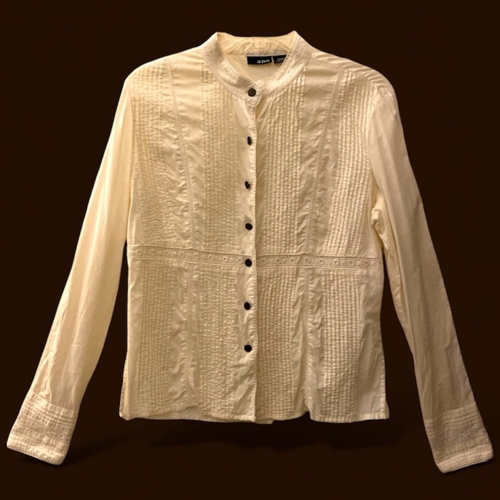 Beautiful Ivory Embroidered button down top